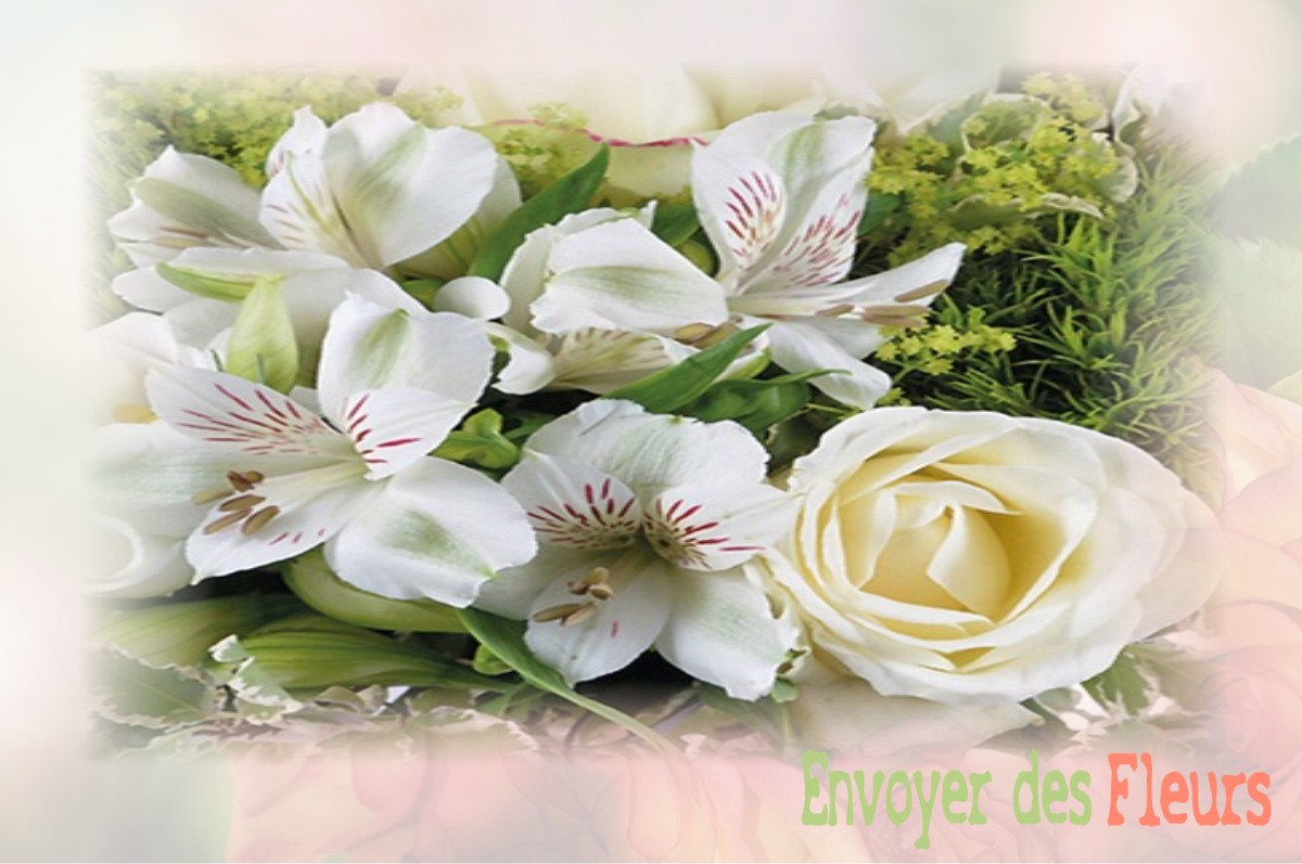 envoyer des fleurs à à VILLERS-SAINT-PAUL